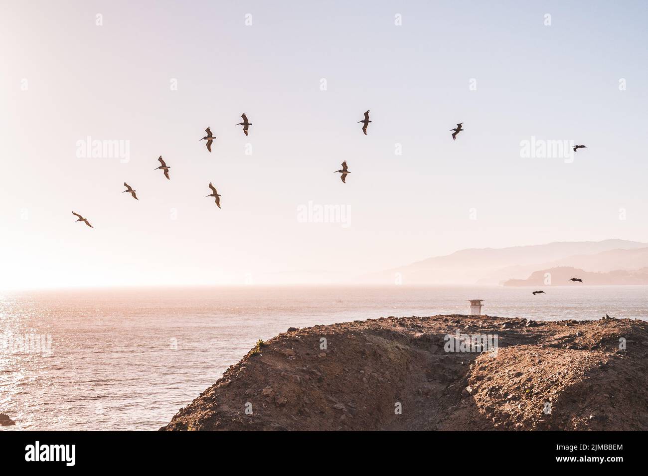 A flock of birds flies over the sea at sunset in California,USA Stock ...