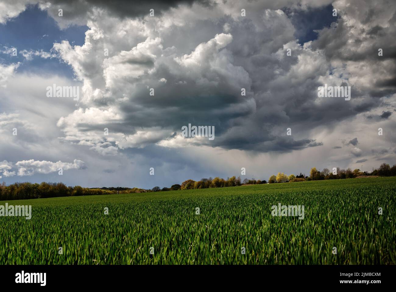 A view of large dark clouds gathered in thunderstorm over grain ...