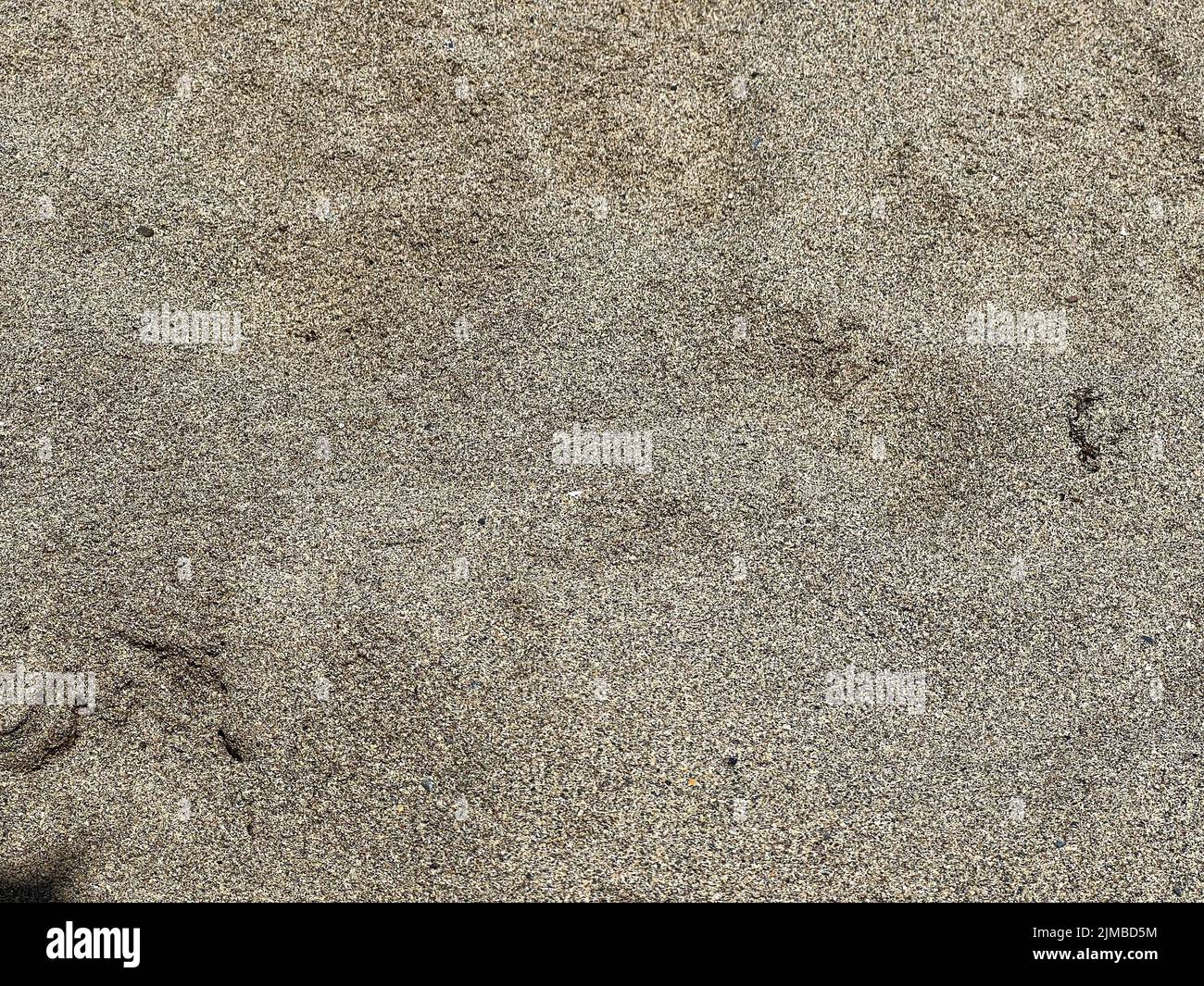 Beach clean up hi-res stock photography and images - Alamy
