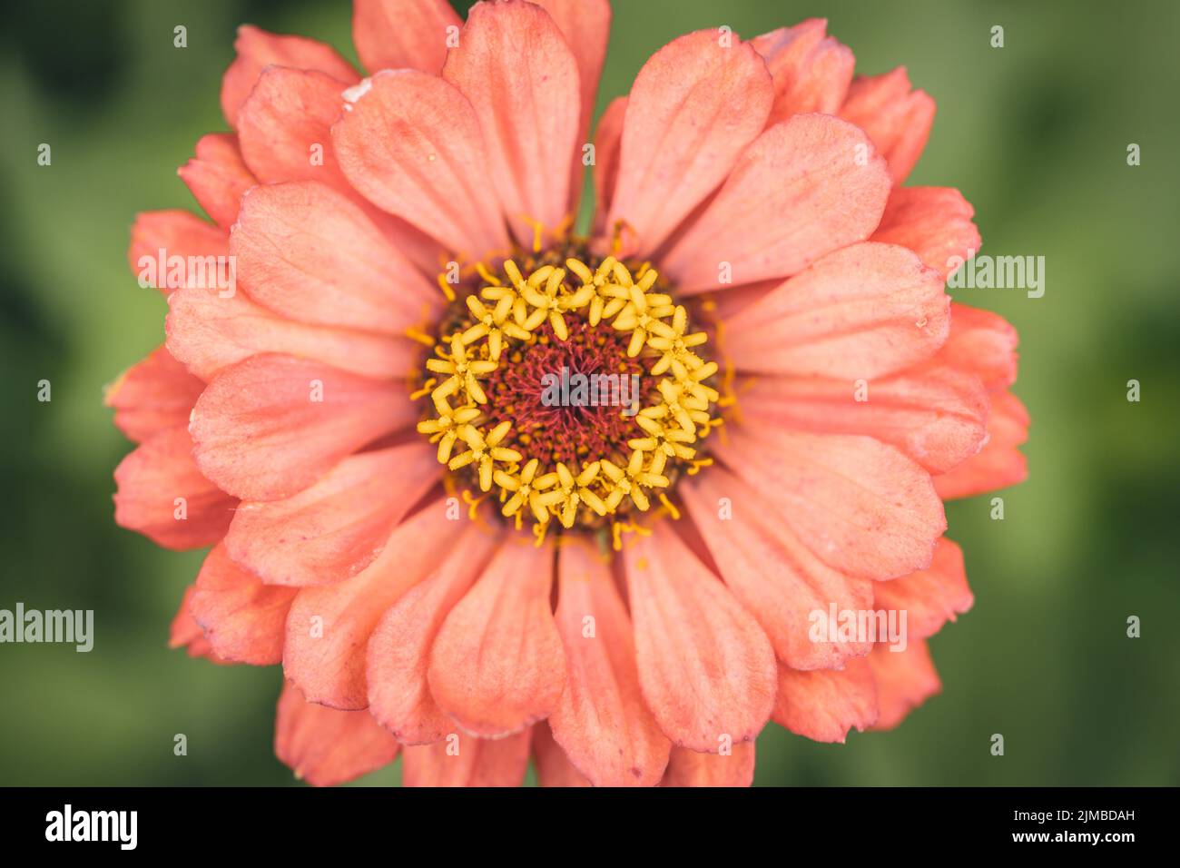 Youth and age hires stock photography and images Alamy