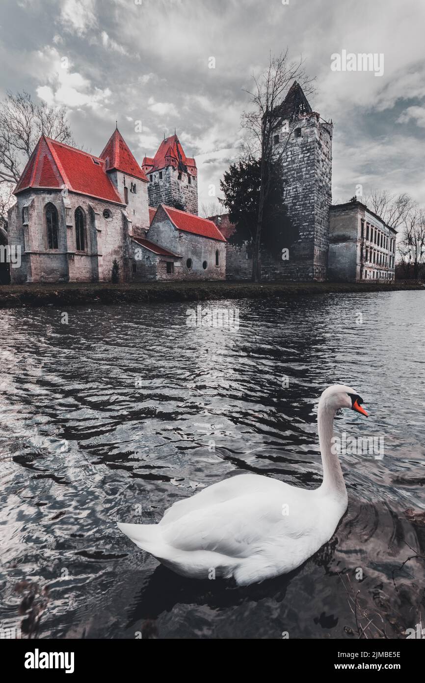Old park and Castle Pottendorf in Austria with a white swan Stock Photo ...