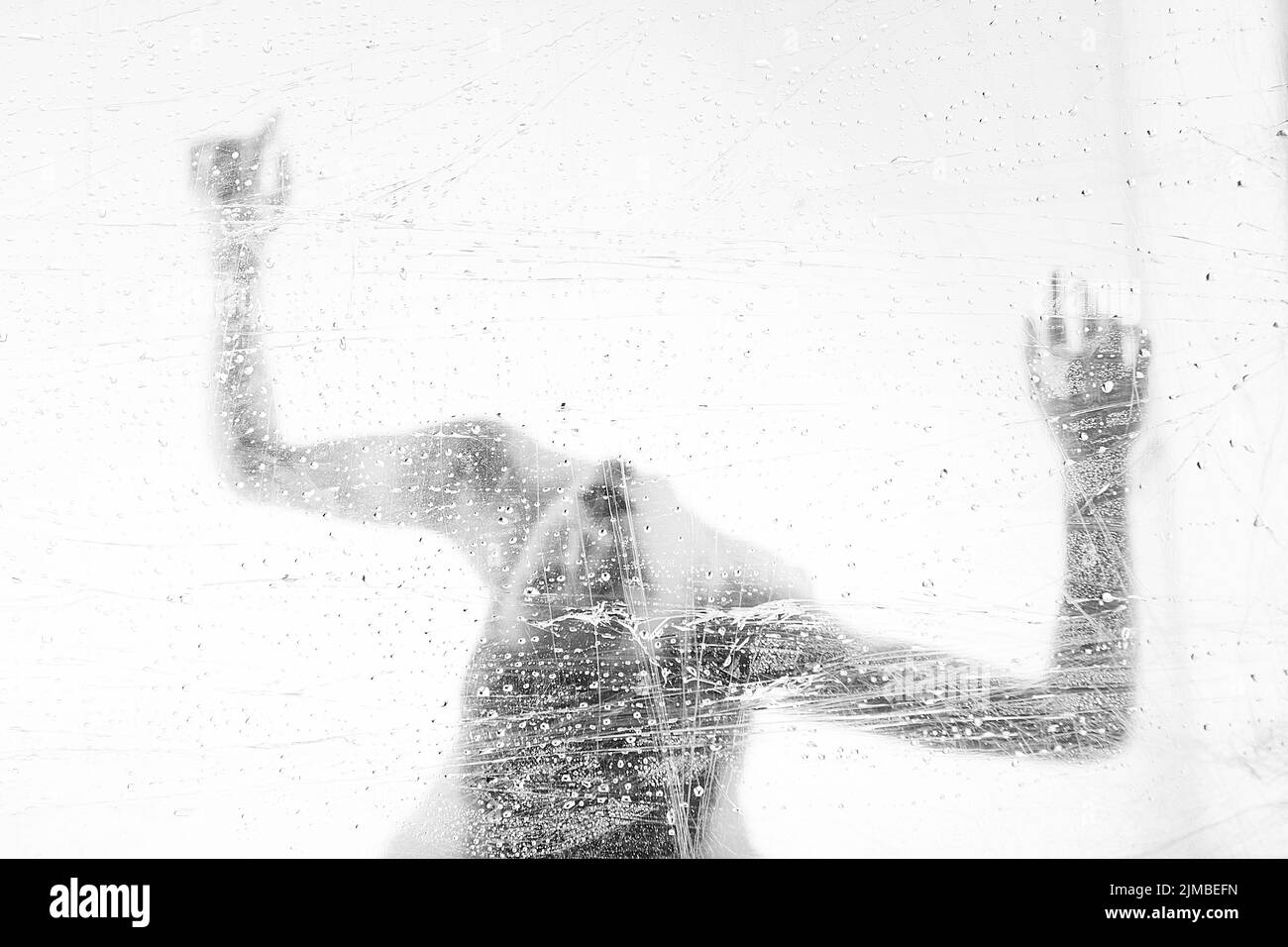 Flamingo bird drinking water Black and White Stock Photos & Images - Alamy