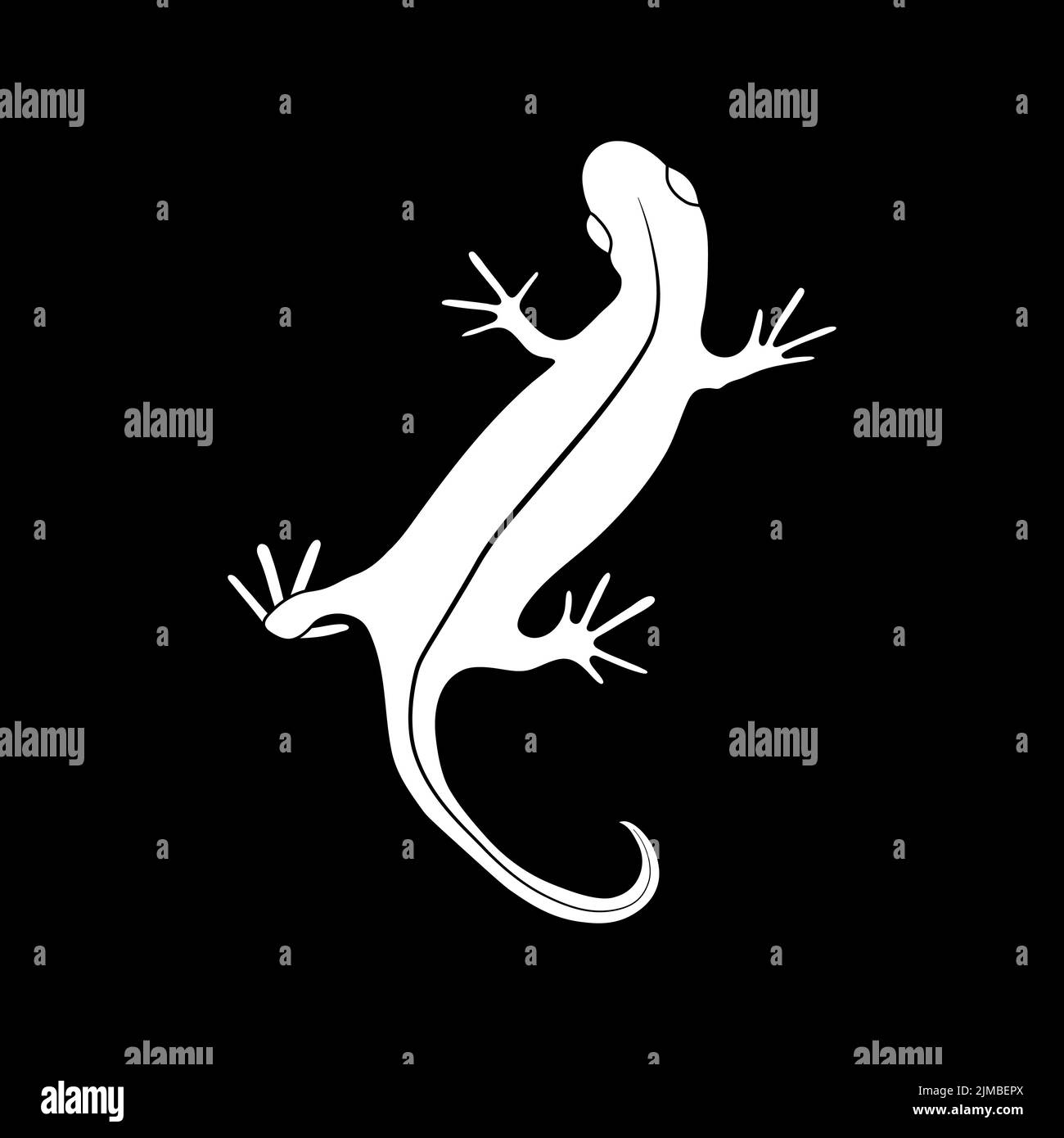Lizard reptile gecko white silhouette vector illustration. Simple white