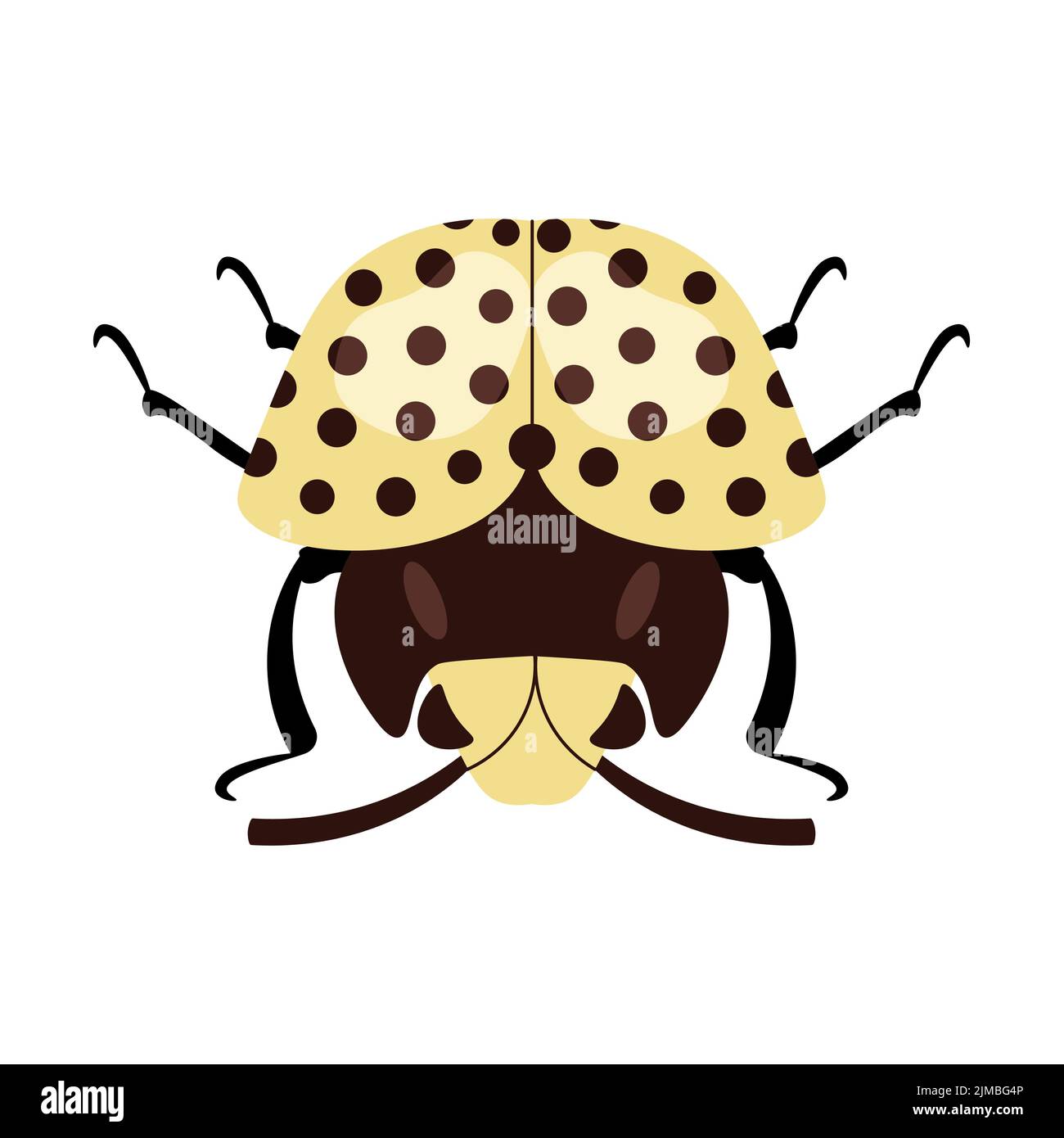 Yellow beetle top view isolated on a white background. Flat Art Vector ...