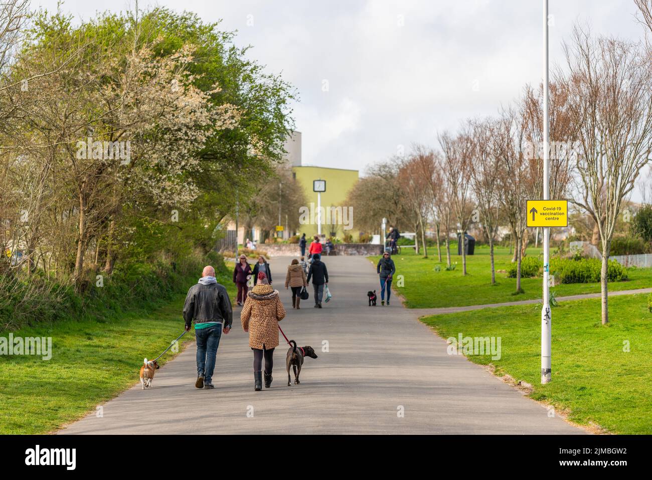 People dog walking in the park in the direction of the Life Centre & Home Park, Central Park, Plymouth, UK Stock Photo