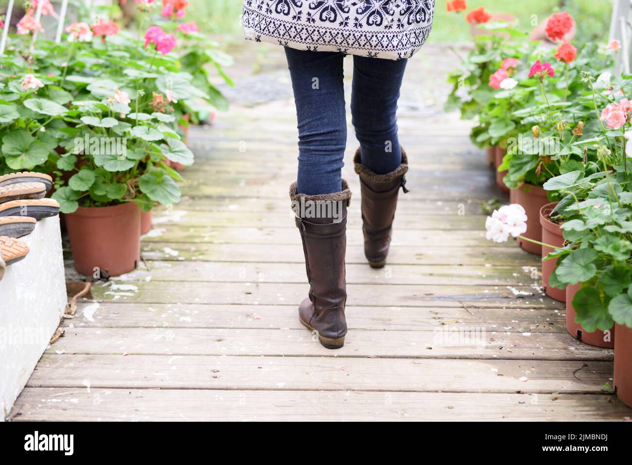 Woman's legs in boots walking along wooden path Stock Photo