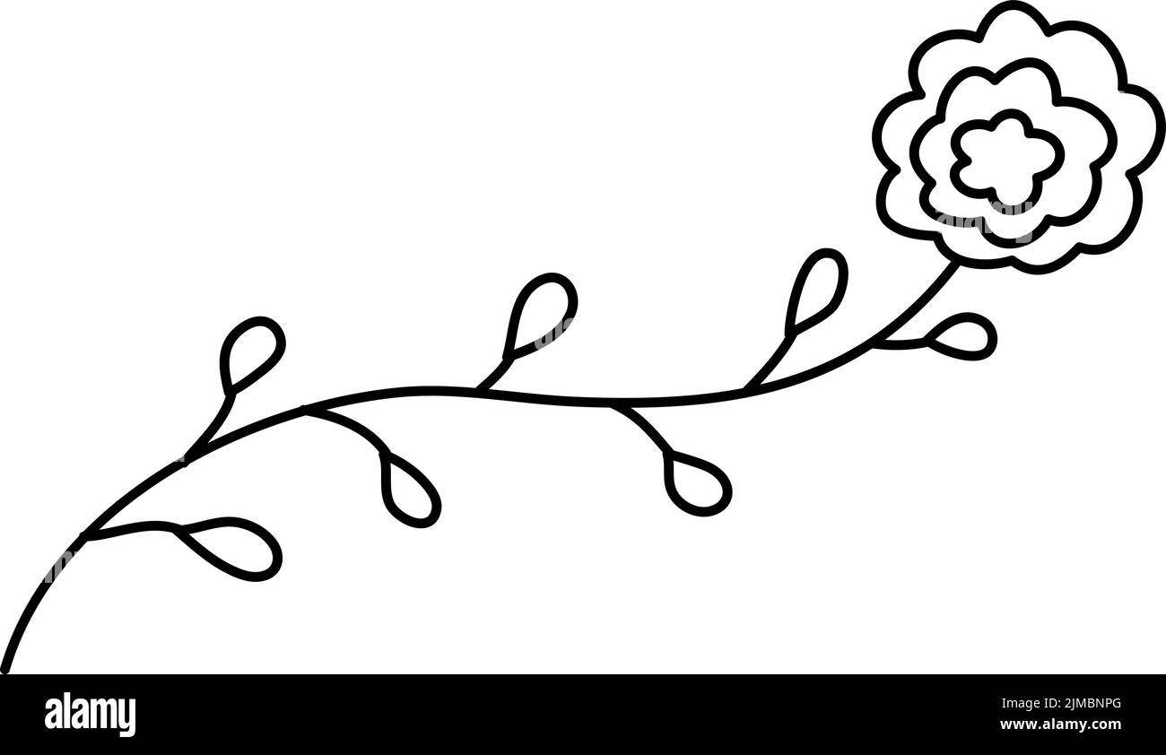 Vector simple hand drawn flower botanical illustration. Line artwork, minimal design element. elegant and delicate plant doodles for branding, graphic Stock Vector