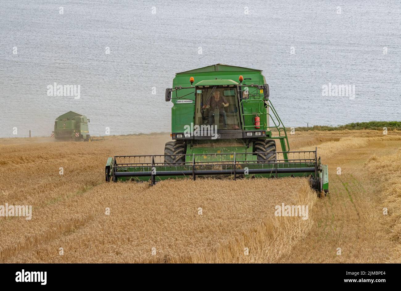 Spring Barley Harvest, Garretstown, Co. Cork Stock Photo