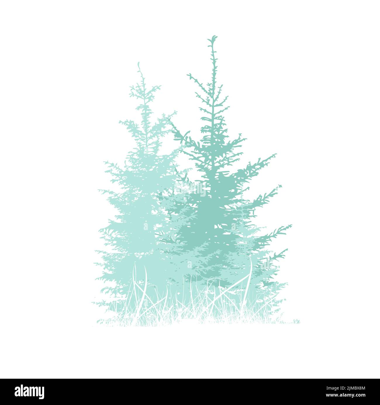 Fir tree firs trees Stock Vector Images - Alamy
