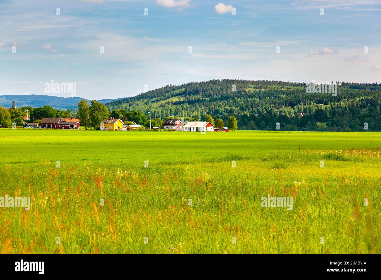 Swedish countryside with colourful houses and forest, Falun, Dalarna, Sweden Stock Photo