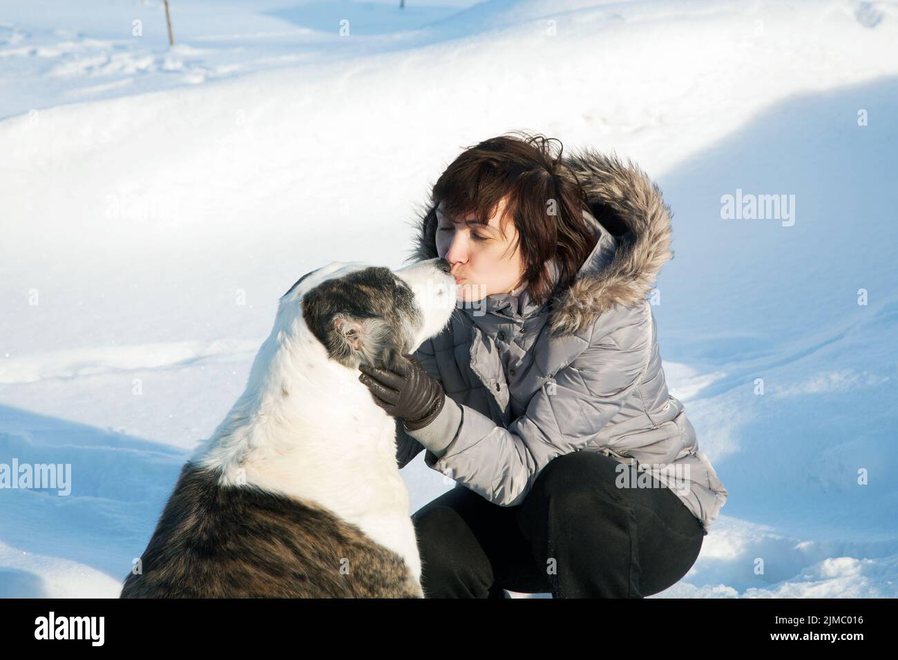 Woman kisses a dog on a sunny winter day Stock Photo