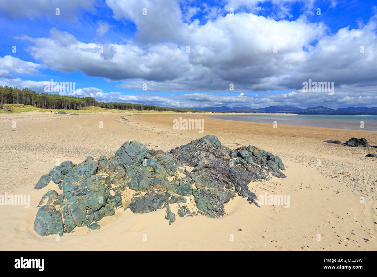 Newborough Forest sand dunes and storm clouds over Snowdonia,  Llanddwyn Bay, Isle of Anglesey, Ynys Mon, North Wales, UK. Stock Photo