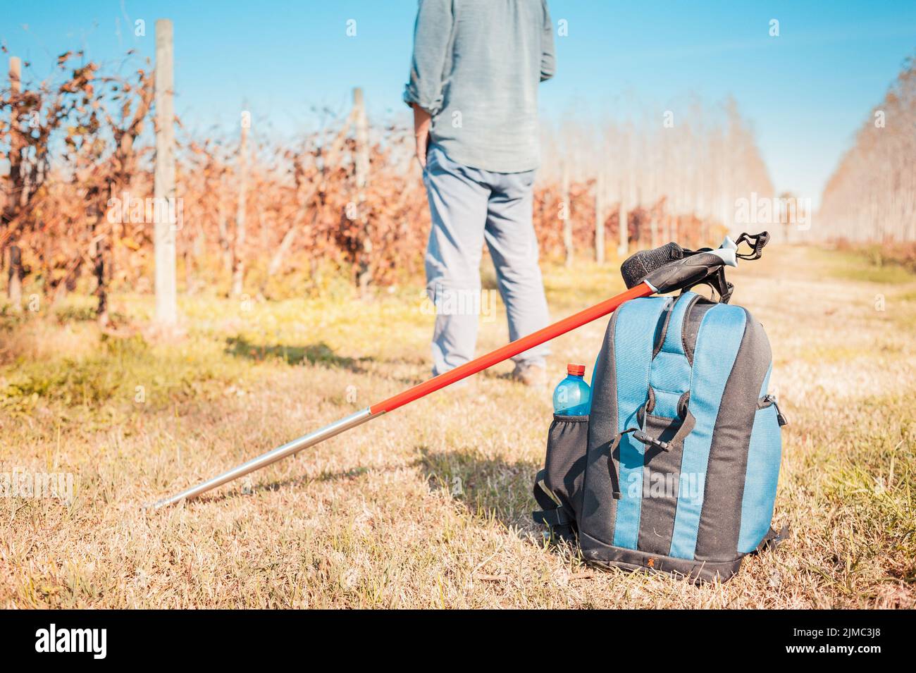 Nordic walking equipment Stock Photo Alamy