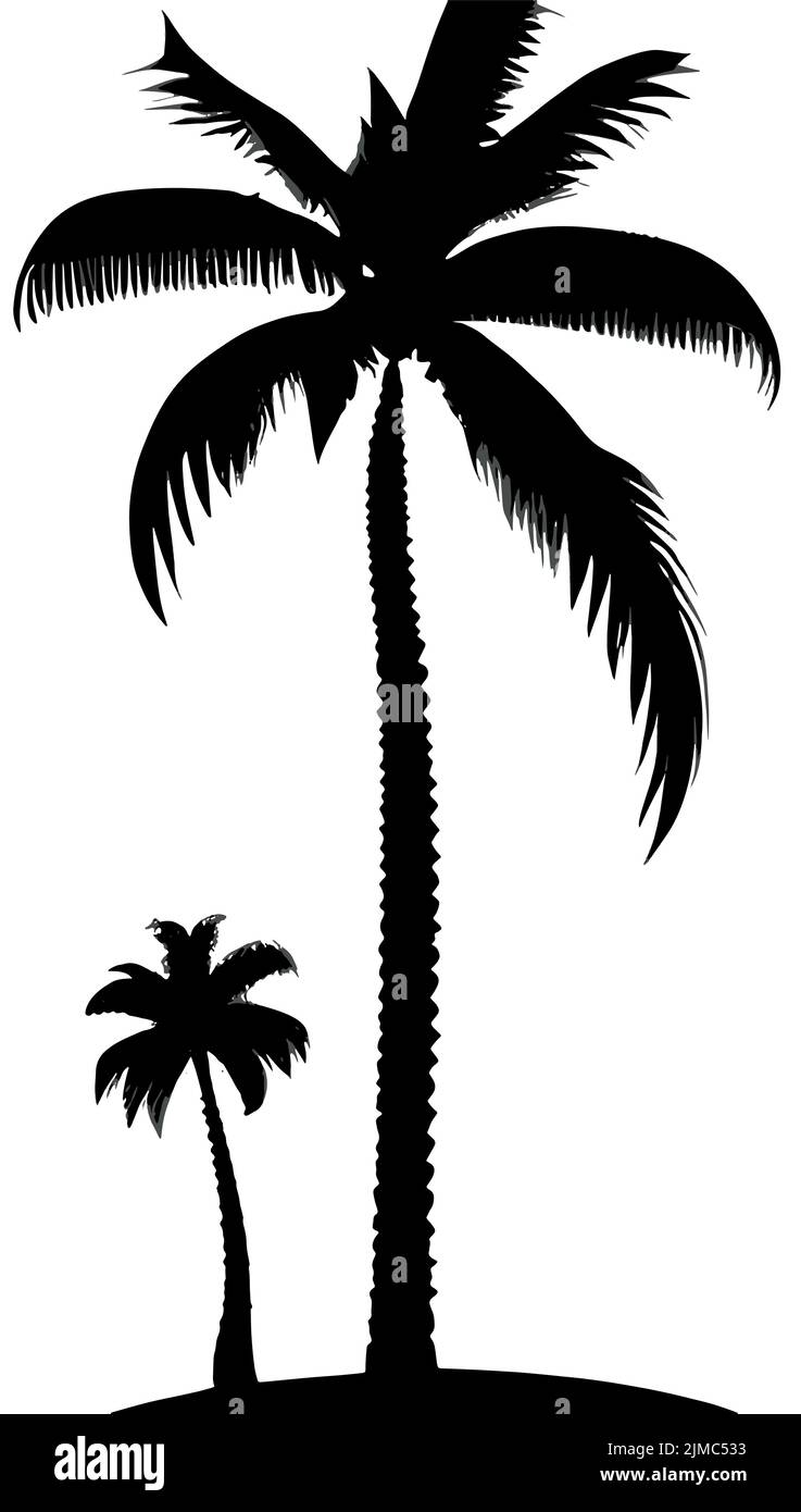 The silhouettes of tall and short palm trees on the beach on a white background Stock Vector