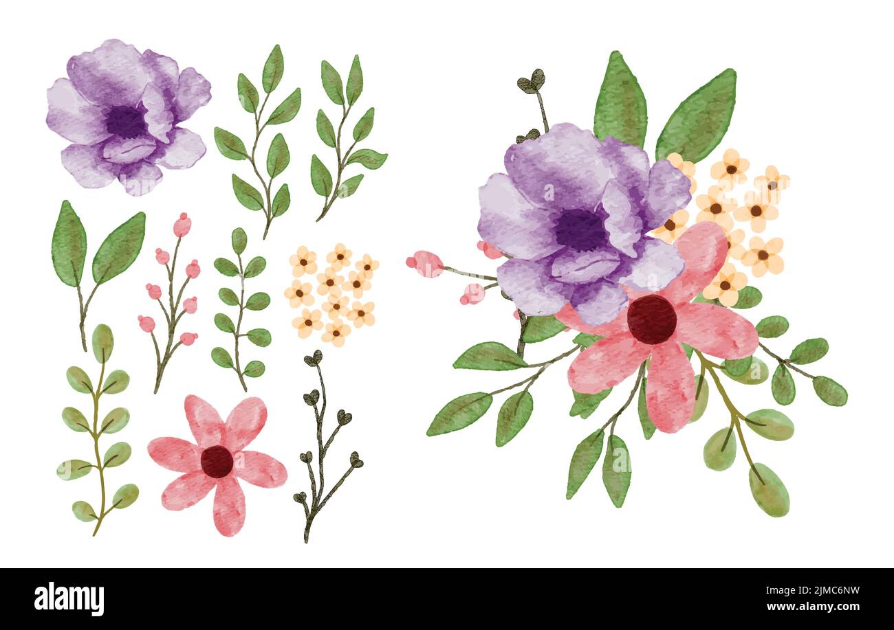 The flowers with green leaves isolated on white background Stock Vector ...