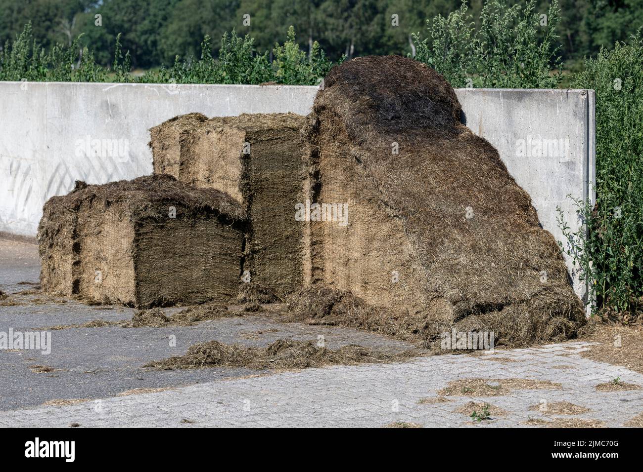 Silage in a concrete pit Stock Photo