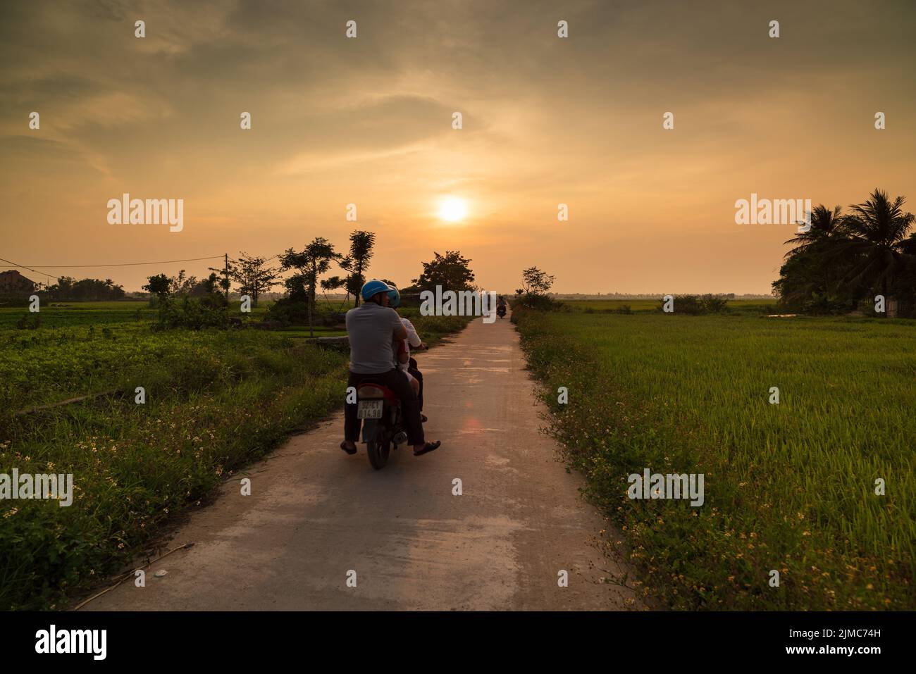 HOI AN - VIETNAM , 18 April 2017; Sunset in the rice fields near Hoi An city. Stock Photo