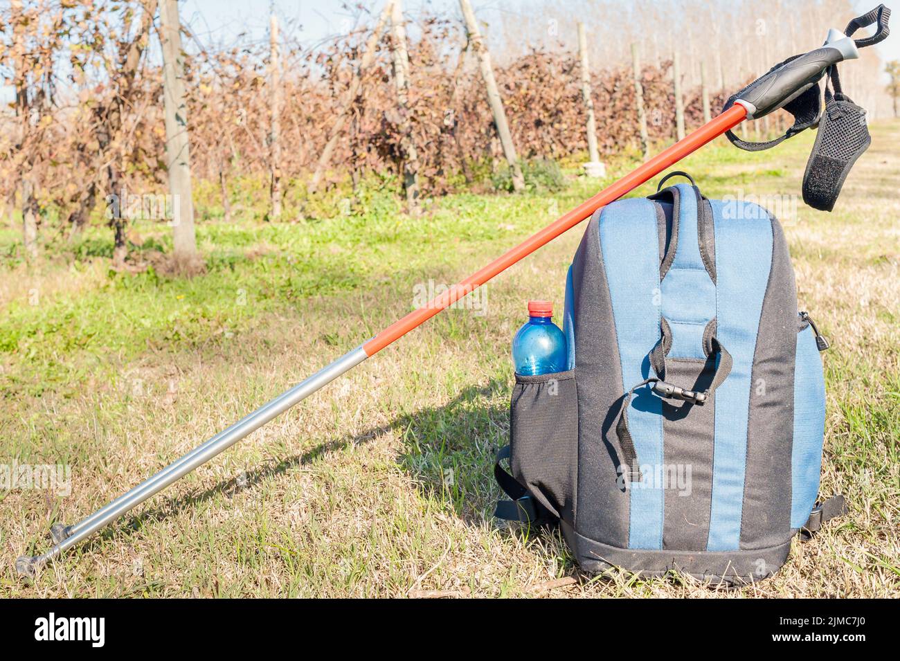 Nordic walking equipment Stock Photo Alamy