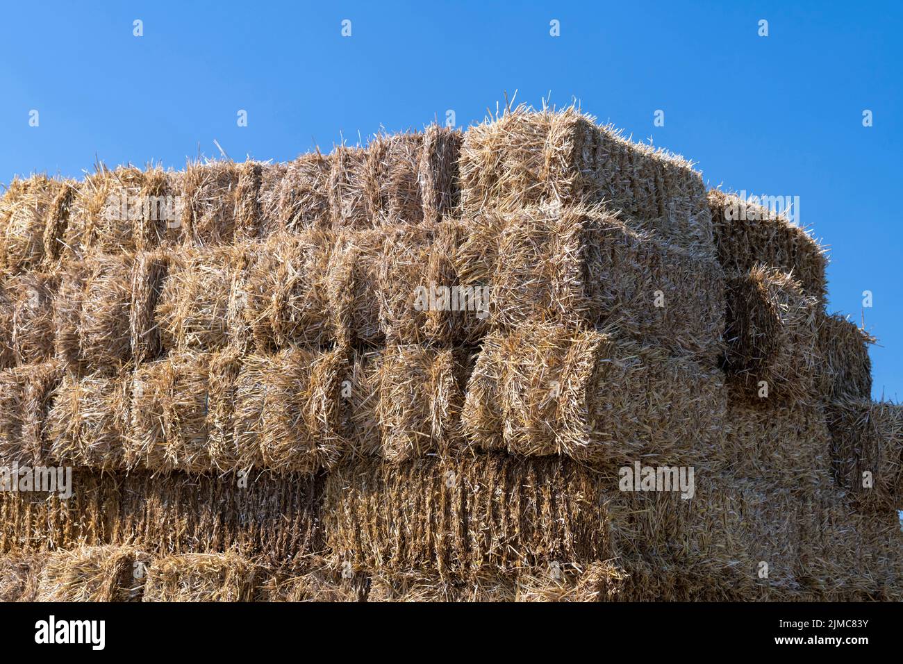 Stack of straw bales against a blue sky Stock Photo