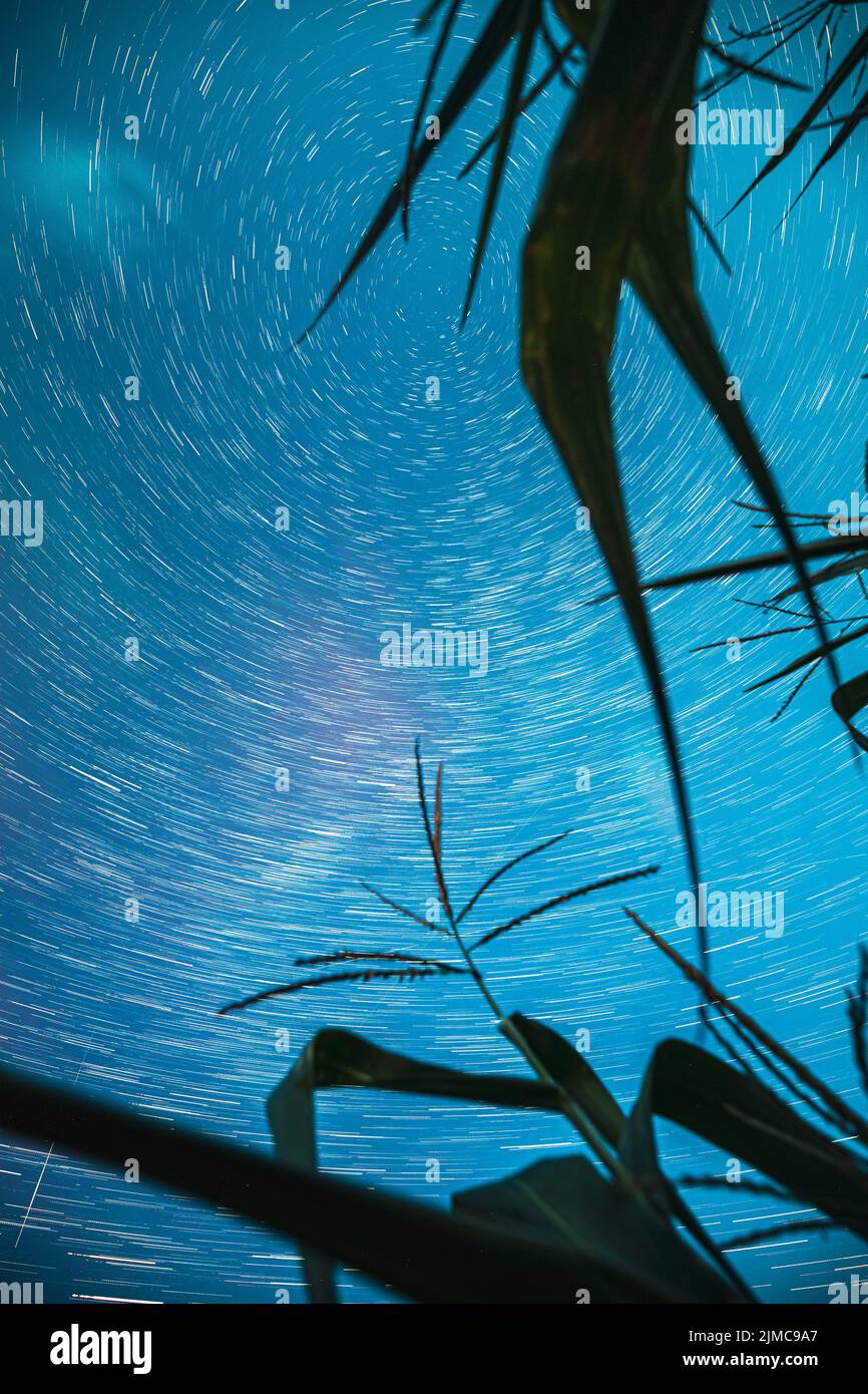 Bright Night Starry Sky Glowing Milky Way Stars And Meteoric Track Trails Above Maize Corn Field. Serenity, Calmness. Power Of Mother Nature Concept Stock Photo