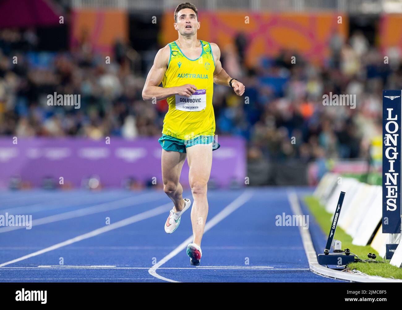 Decathlon discipline hi-res stock photography and images - Alamy
