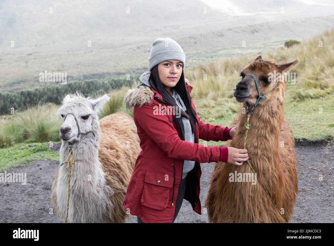 rural destination with young woman wearing a winter clothes while walking with some llamas, mammal domestic animal, landscape with nature in the field Stock Photo