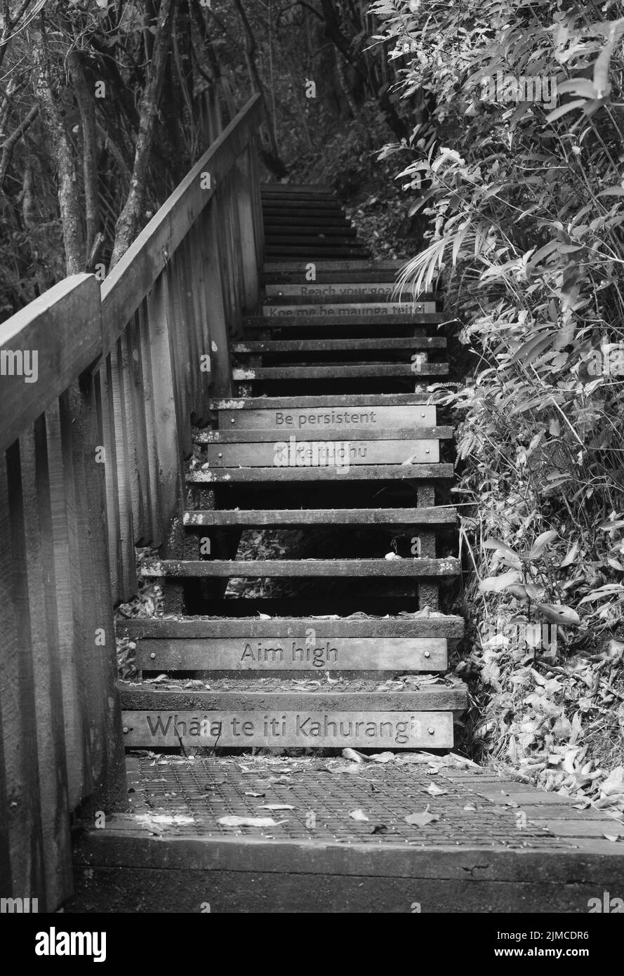 A vertical grayscale shot of motivational stairs in Wenderholm Park