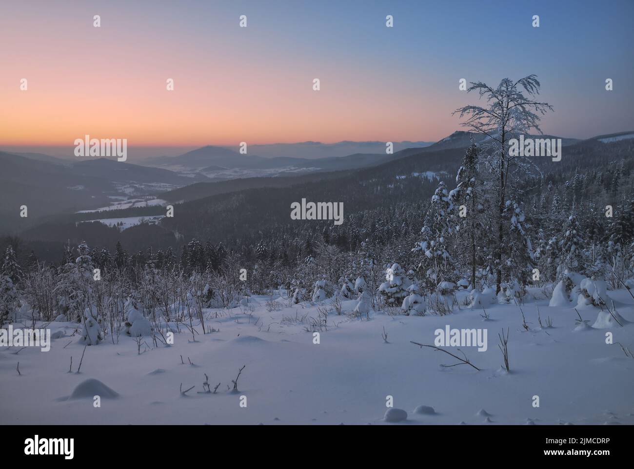 Winter evening in bavarian Forest,Germany Stock Photo