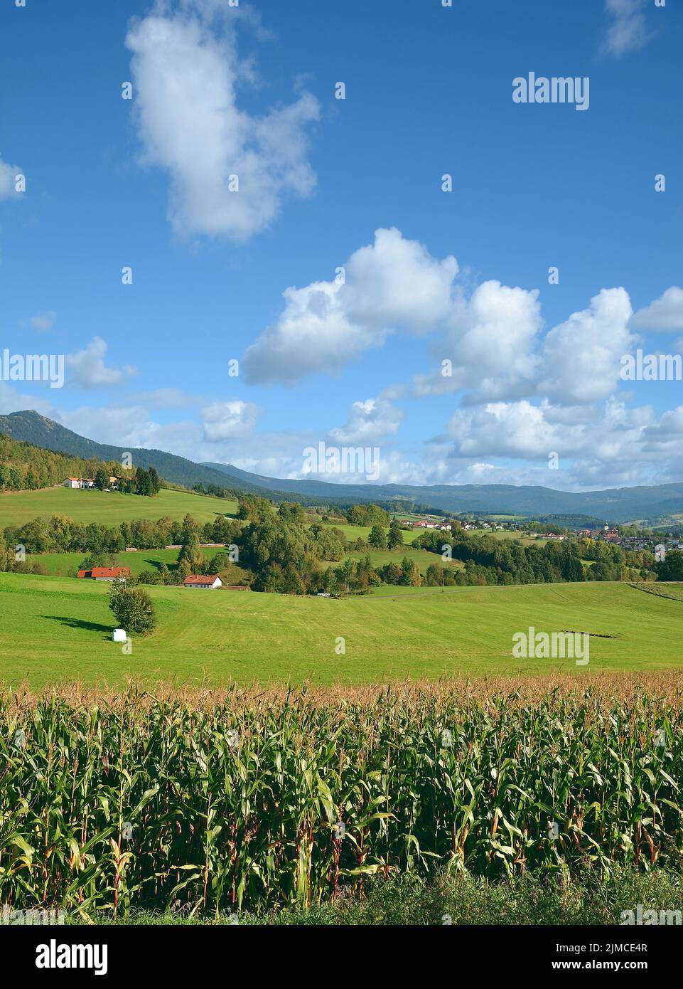 View to Village of Lam in bavarian Forest,Bavaria,Germany Stock Photo
