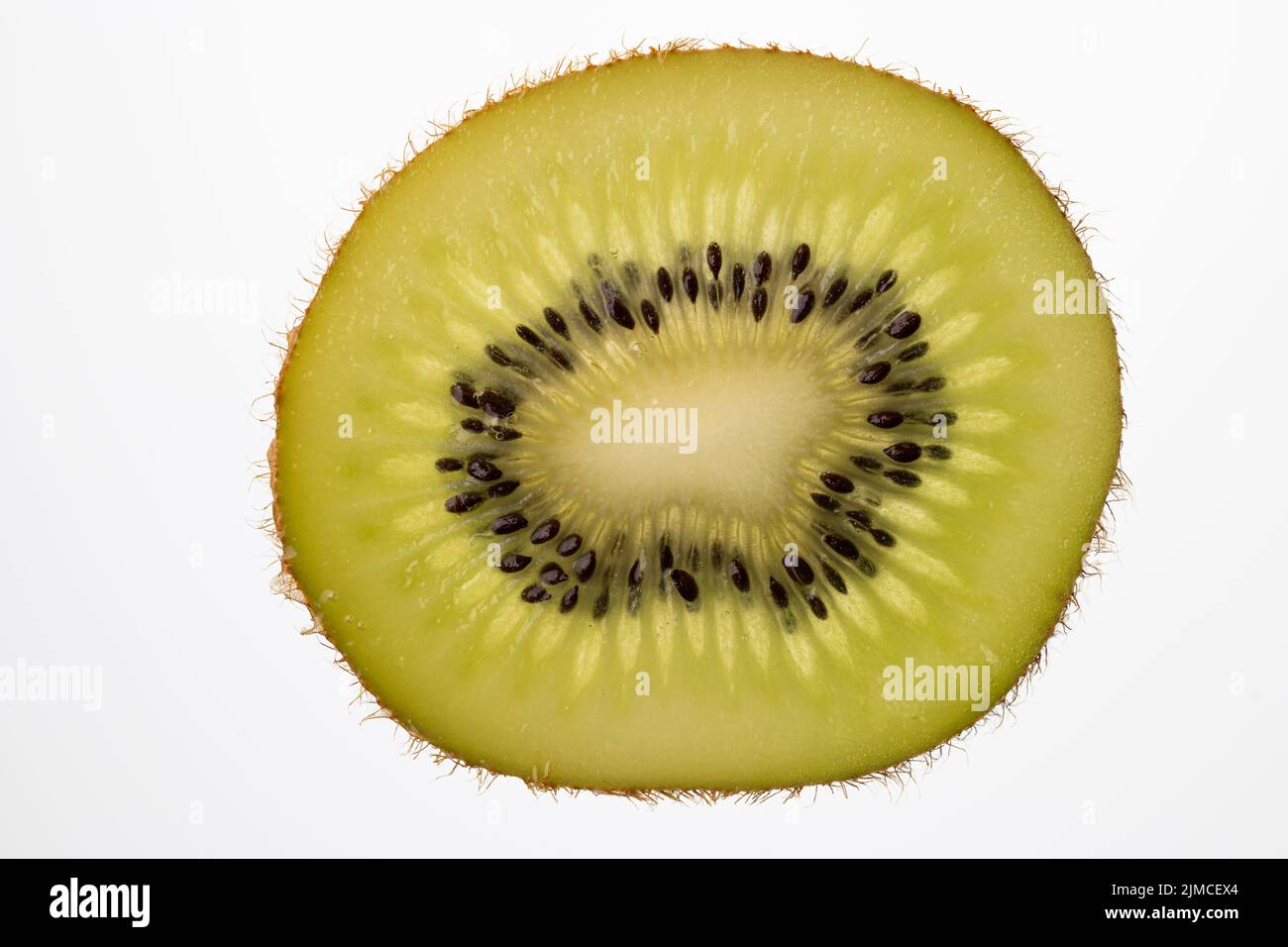 Slice of Kiwi fruit cut in backlight foto shot Stock Photo
