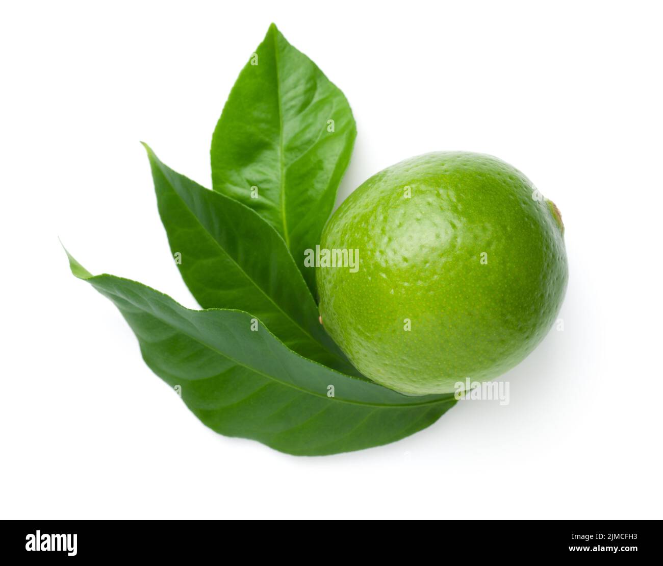 Lime With Leaves Isolated On White Background Stock Photo Alamy