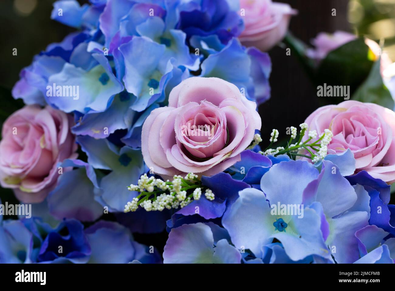 Simple Sweet Roses Sweet pink roses hi-res stock photography and images - Alamy