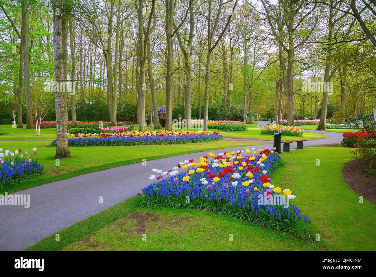 Park Spring Day Spring in the park Stock Photo - Alamy