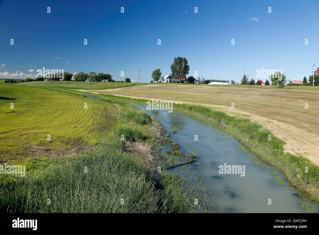 Field, creek, farmland landscape, Province of Quebec, Canada Stock Photo