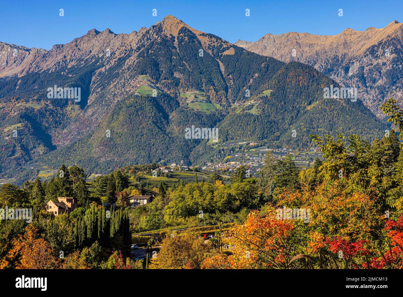 Autumn colours in the gardens of Trauttmansdorff Castle, in the background the Mutspitze, near Merano, South Tyrol, Italy, Europe Stock Photo