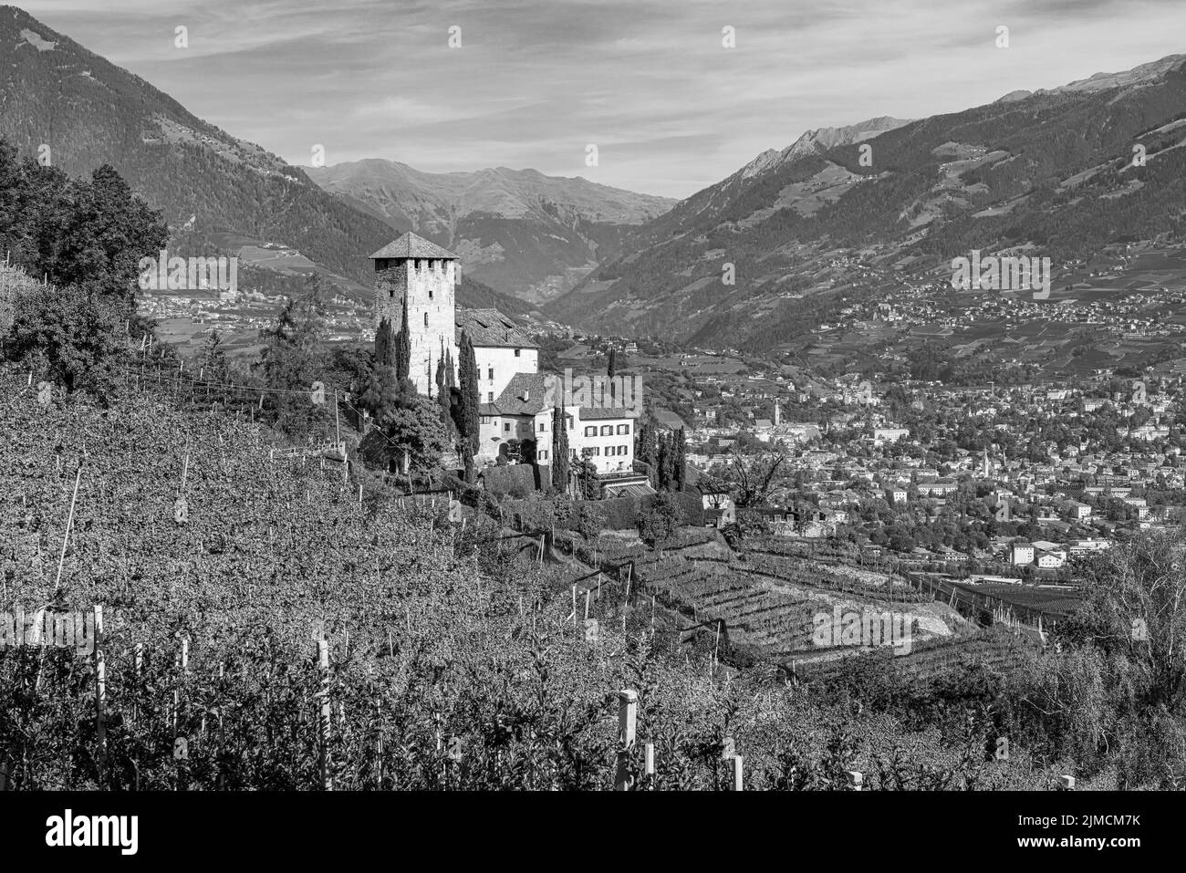 Lebenberg Castle above vineyards, near Tscherms, in the back the spa town of Meran, black and white photograph, in the back the spa town of Meran Stock Photo