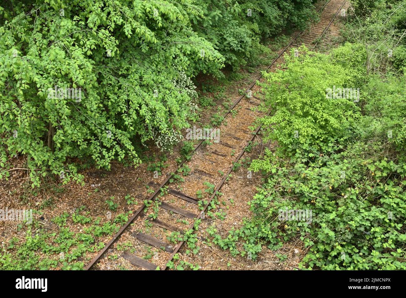 Decommissioned rail line, Germany Stock Photo