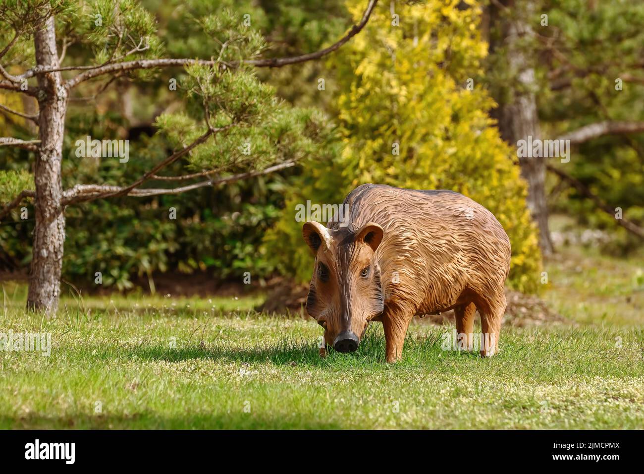 Wild boar sculpture Stock Photo