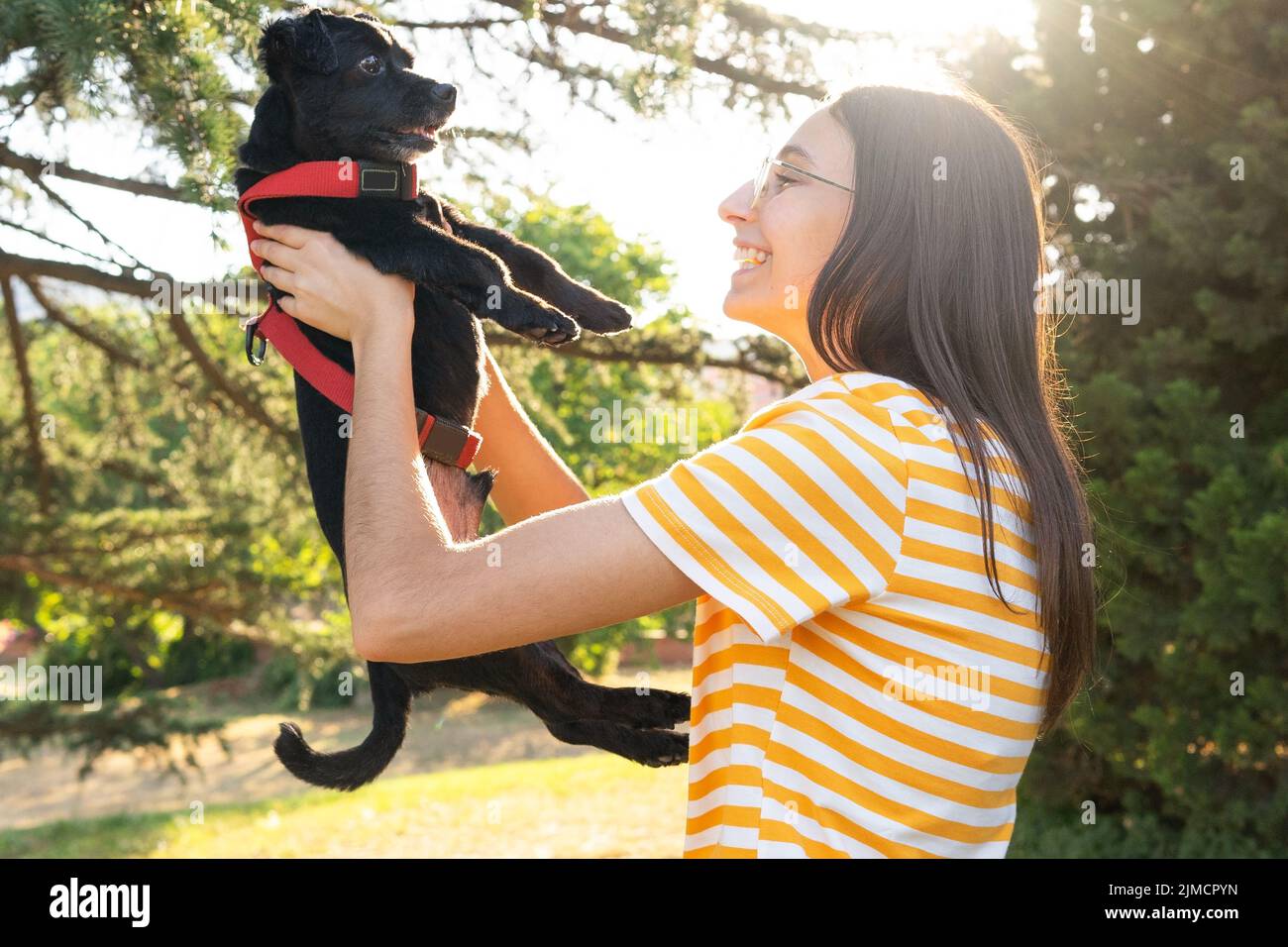 Lifting harness for dog hi-res stock photography and images - Alamy