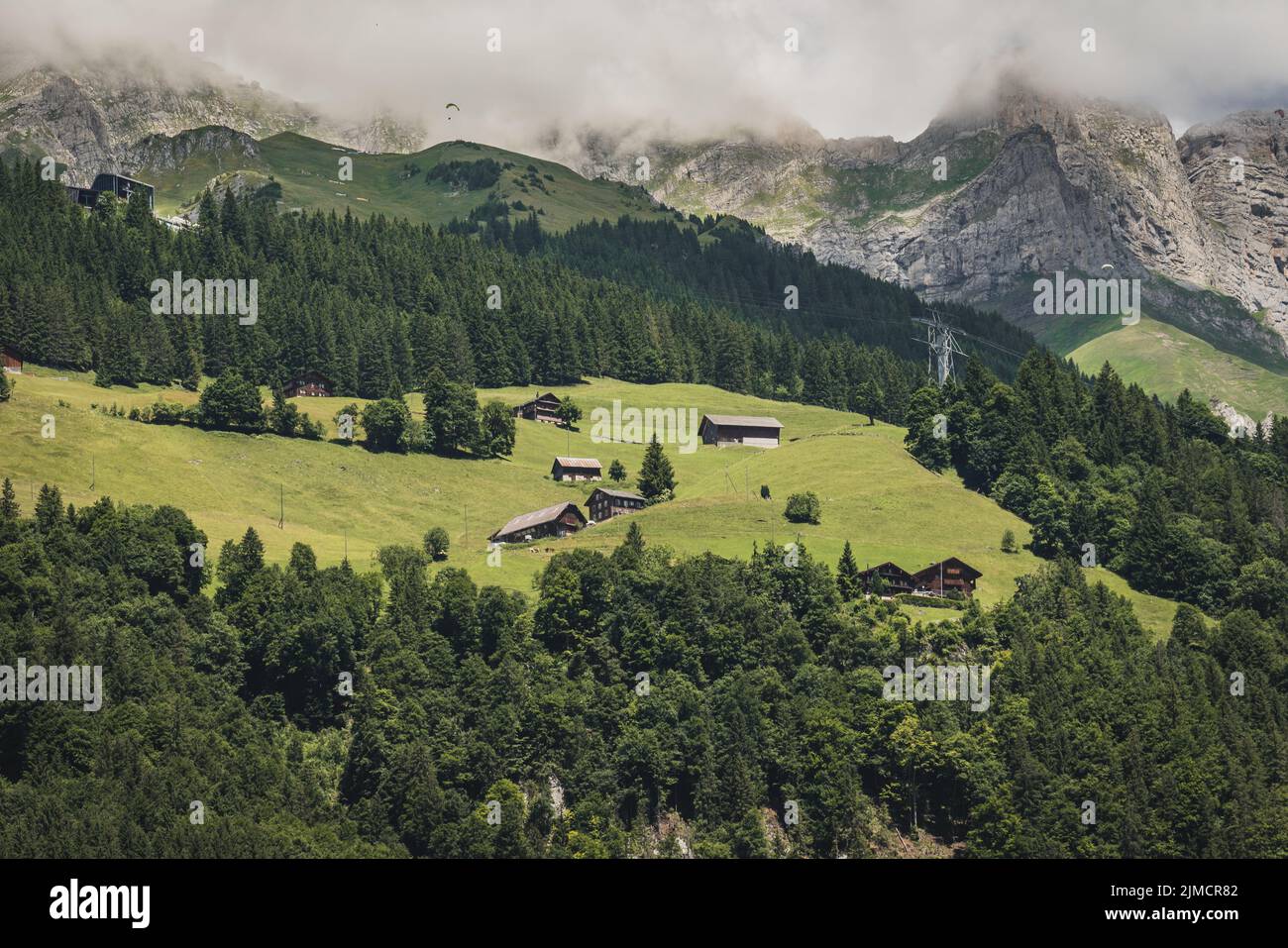 Amazing drone view of small typical residential houses located on grassy hilly terrain with lush greet coniferous trees on sunny day in mountainous va Stock Photo