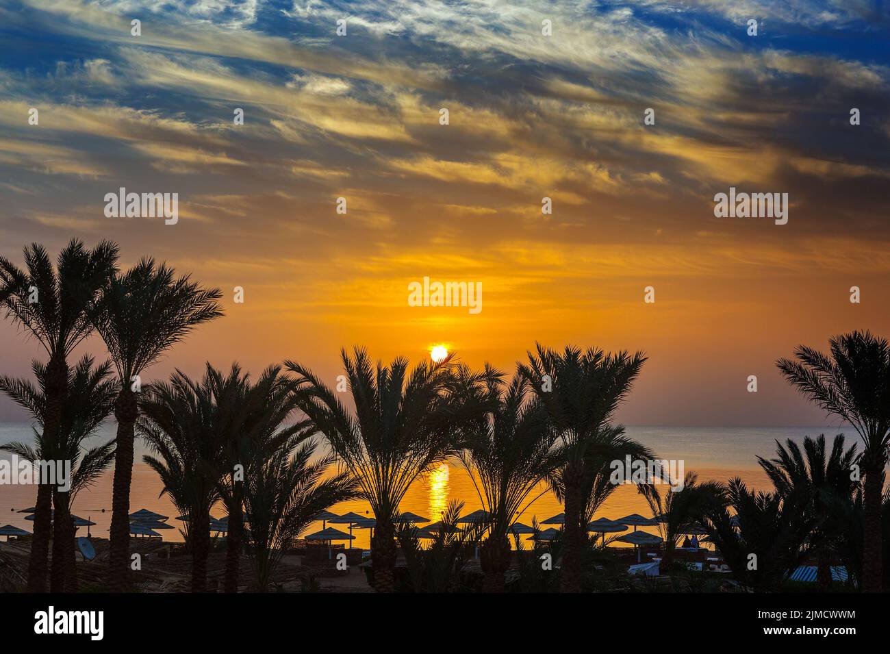 Palms and sea on resort before sunrise Stock Photo