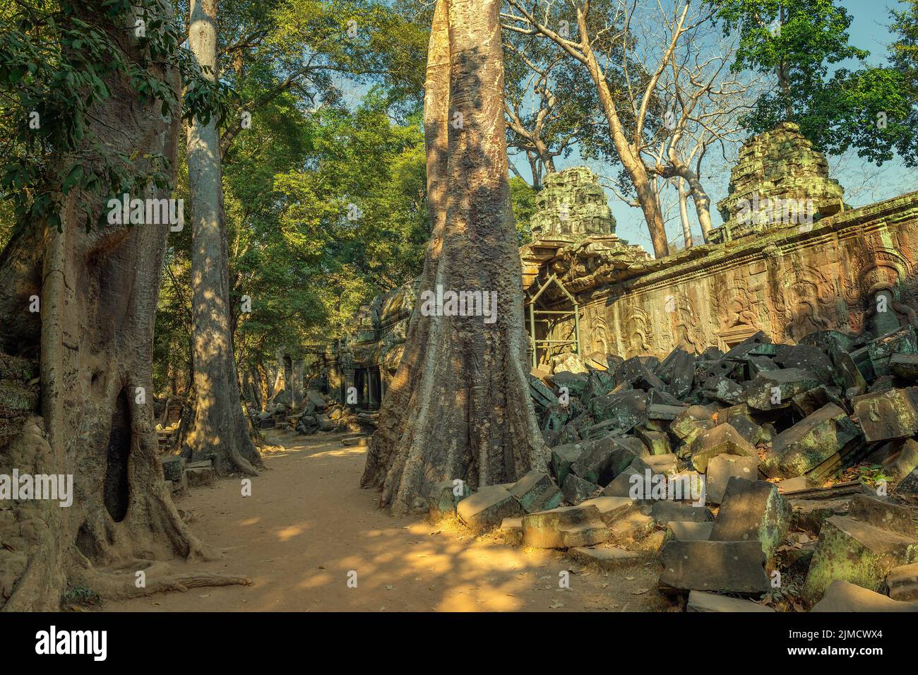 Ta Prohm temple in Angkor Wat Cambodia Stock Photo