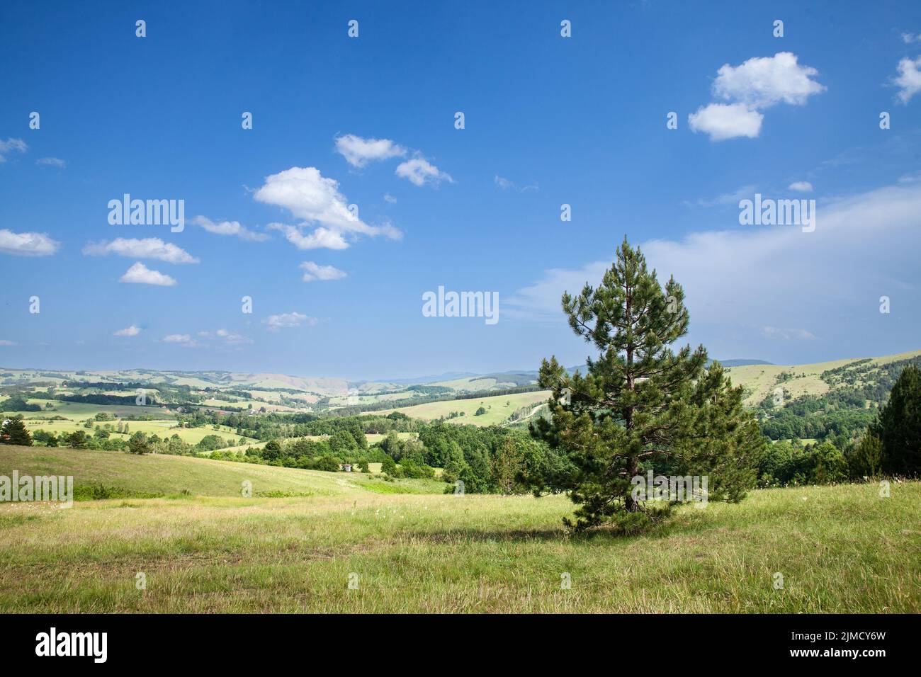 Picture of a panorama of Tometino polje and divcibare seen from a viewpoint. Divčibare is a town and mountain resort situated on the mountain Maljen ( Stock Photo