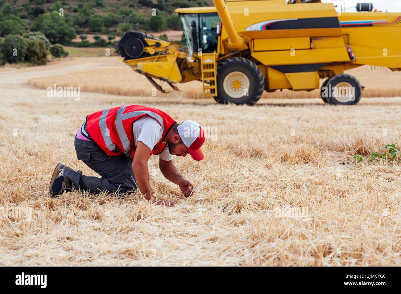 Full body side view of male farmer in uniform collecting wheat grains