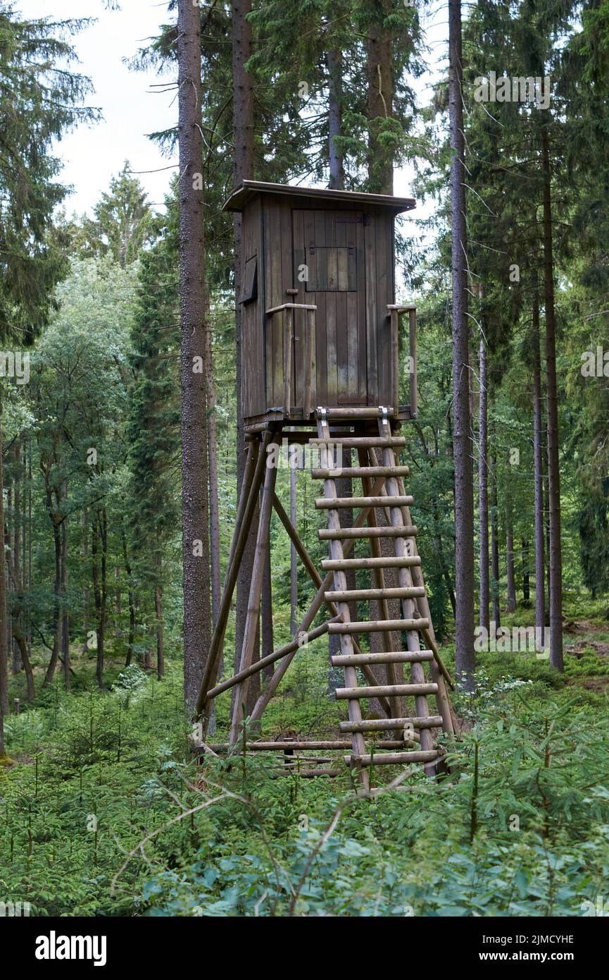 Wooden Hunters High Seat hunting tower in rural landscape, Germany countryside Stock Photo
