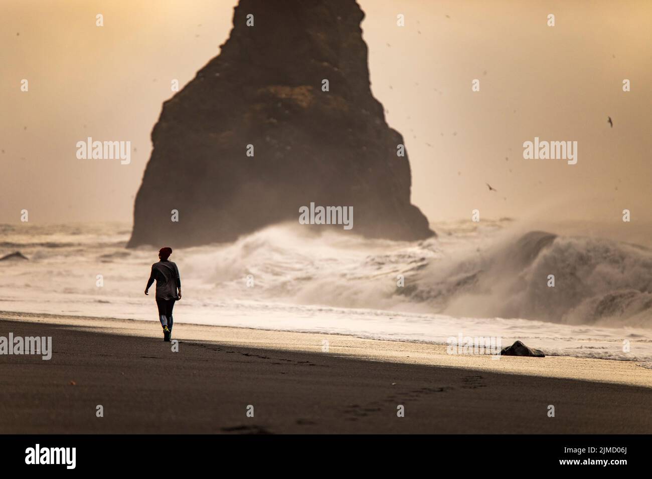 Anonymous black woman admiring sea hi-res stock photography and images ...