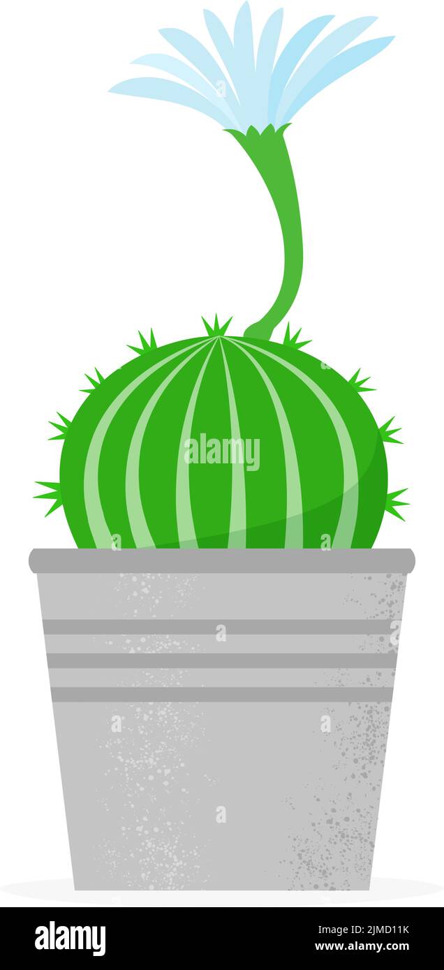 Flowering cactus in a flat style. Blossomed house succulent in pot