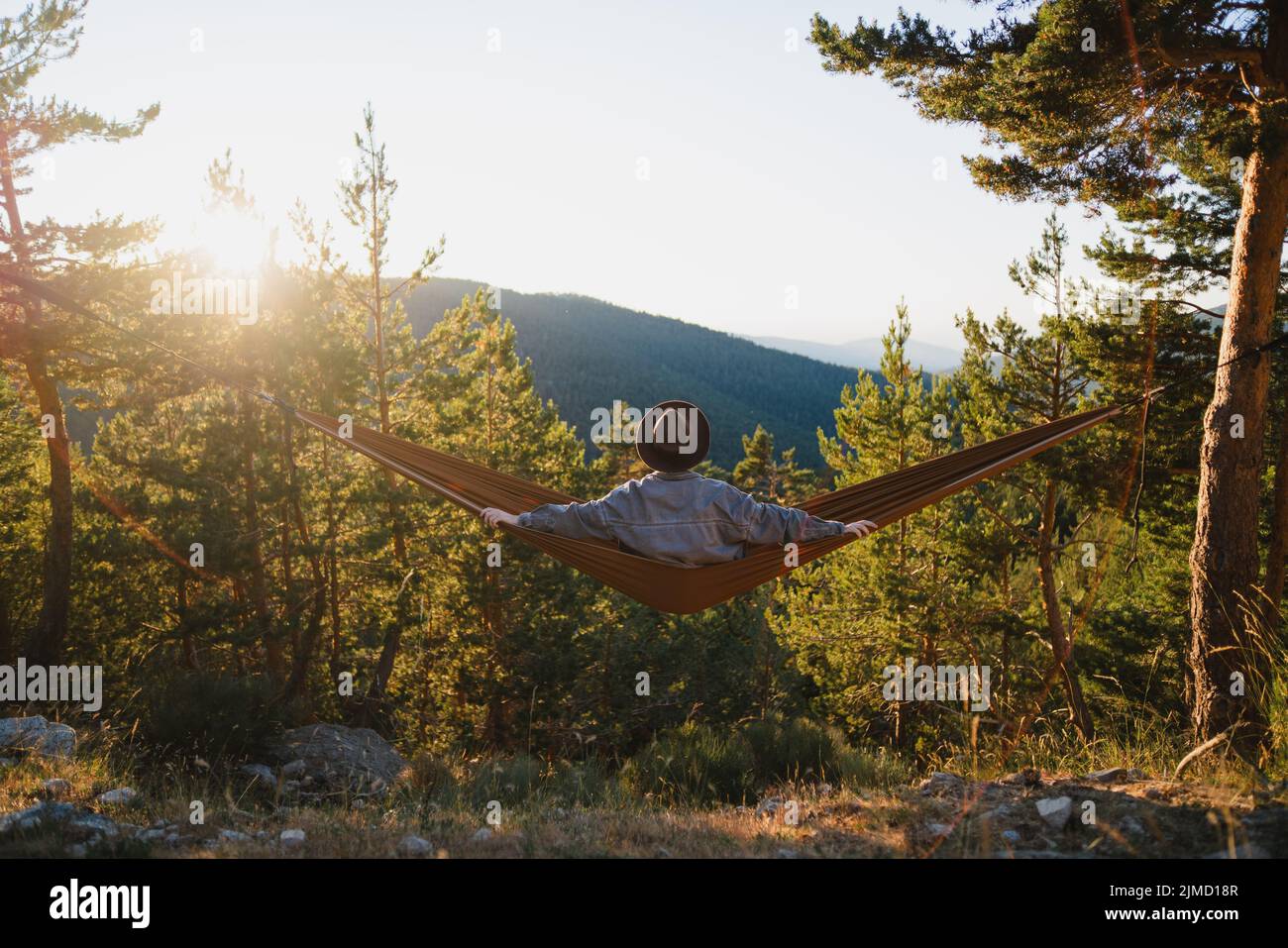 Back view of unrecognizable male in hat lying in hammock while resting in forest with green trees on sunny summer day Stock Photo