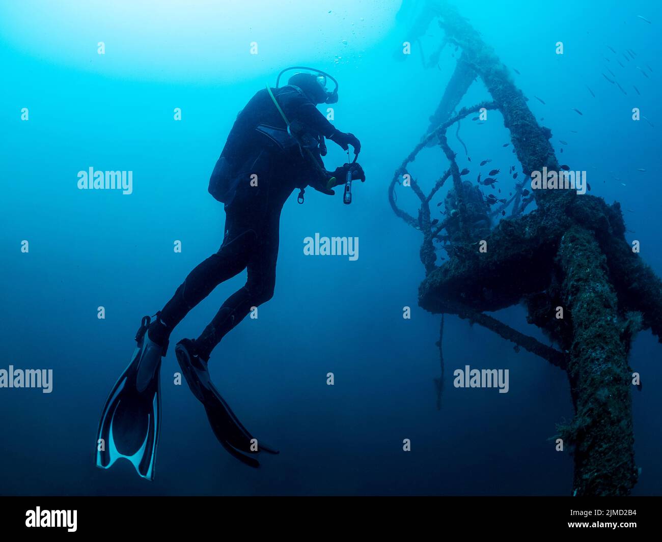 professional-diver-with-flashlight-swimming-near-old-sunken-ship