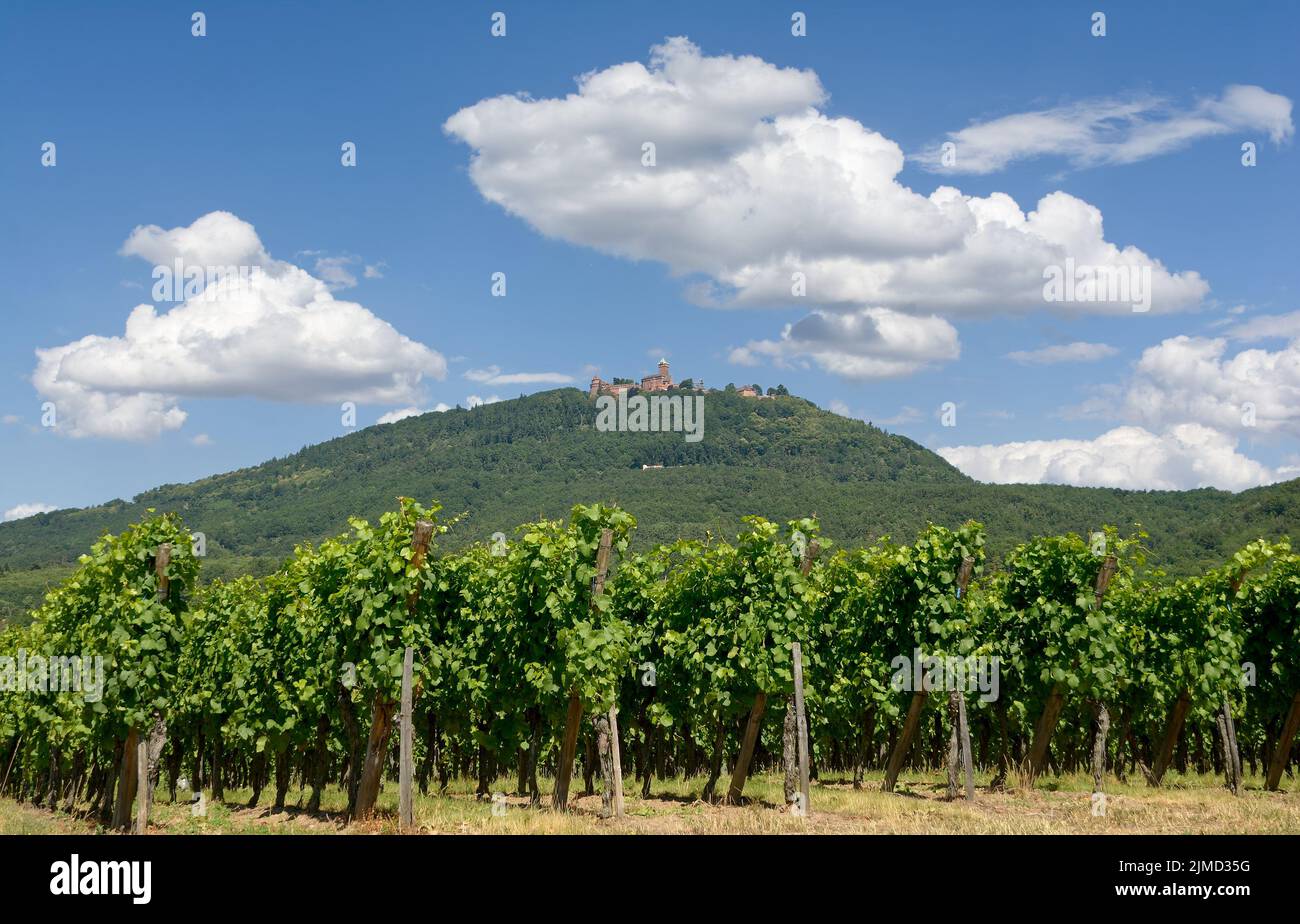 View to Haut Koenigsbourg,Alsace,France Stock Photo